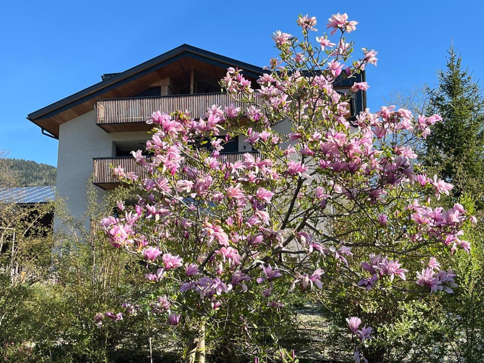Oberfallerhof Apartment Ummi Barbiano  Exteriér fotografie
